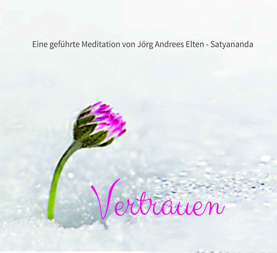 Web_CD_Vertrauen_neu