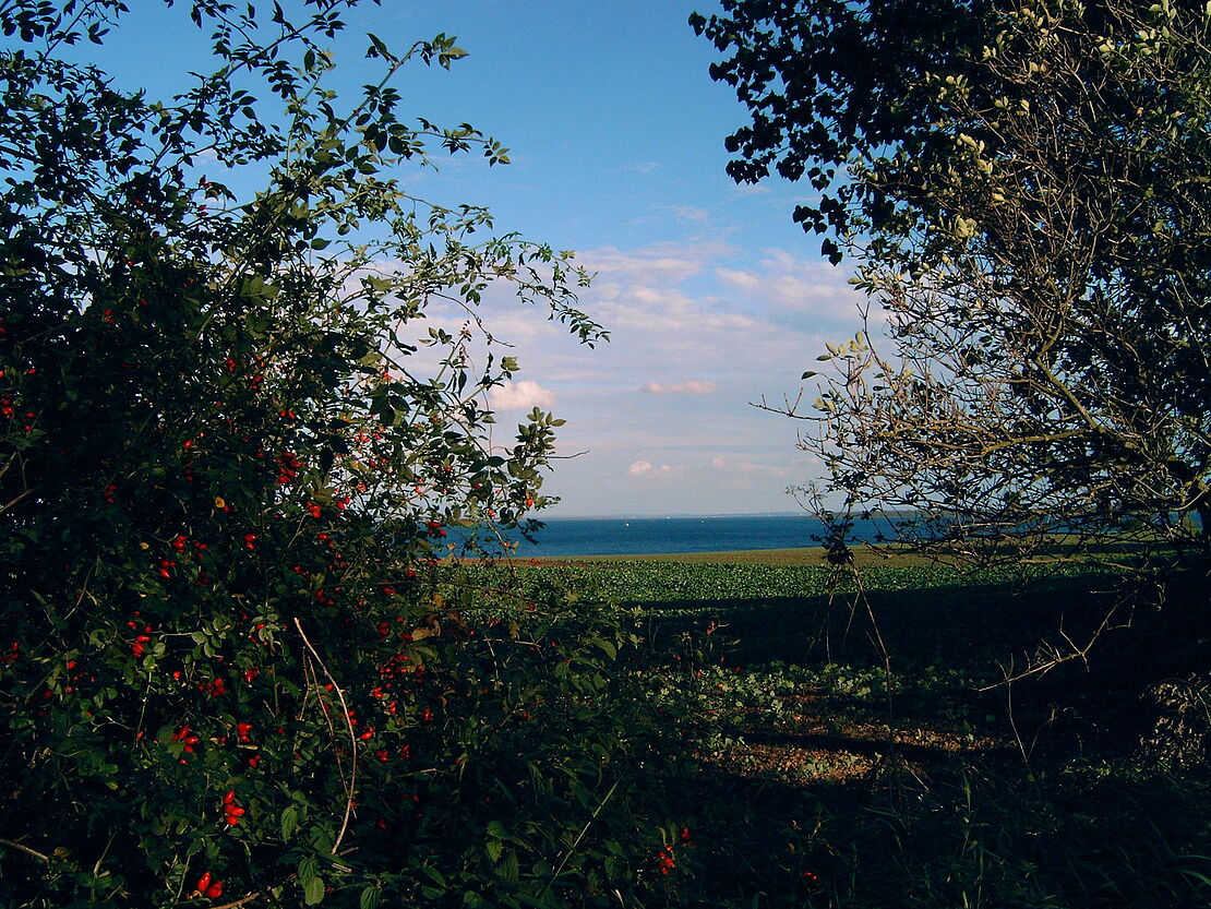 Herbst-an-der-Ostsee